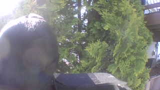 Unidentified clip