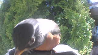 Unidentified clip