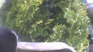 Unidentified clip