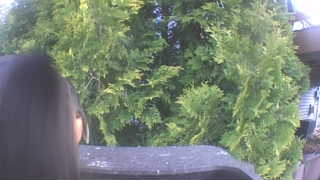 Unidentified clip