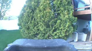 Unidentified clip