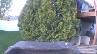 Unidentified clip