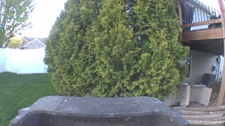 Unidentified clip