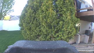 Unidentified clip