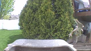 Unidentified clip
