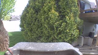 Unidentified clip
