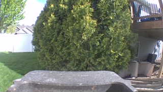 Unidentified clip