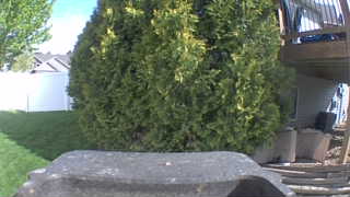 Unidentified clip