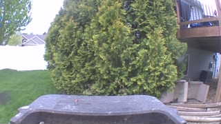 Unidentified clip