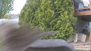 Unidentified clip
