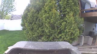 Unidentified clip