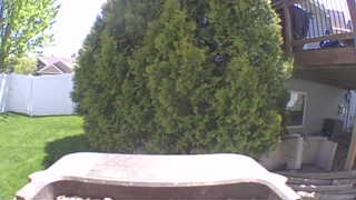 Unidentified clip