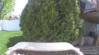 Unidentified clip