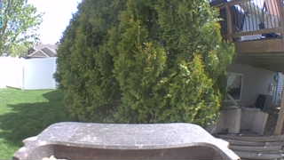 Unidentified clip