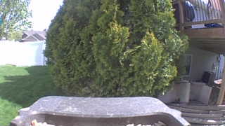 Unidentified clip