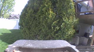 Unidentified clip