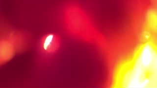 Unidentified clip