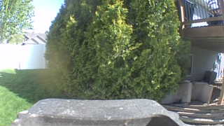Unidentified clip