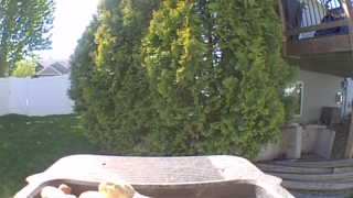 Unidentified clip