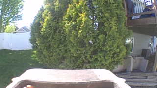 Unidentified clip
