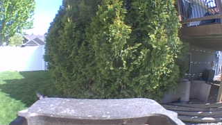 Unidentified clip