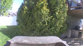 Unidentified clip