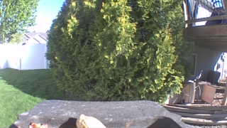 Unidentified clip