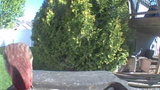 Unidentified clip