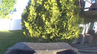 Unidentified clip