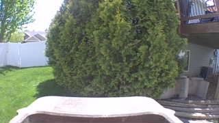 Unidentified clip