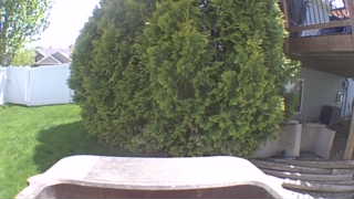 Unidentified clip