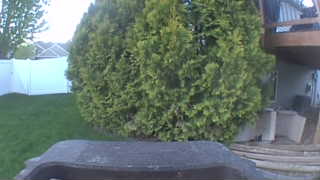 Unidentified clip