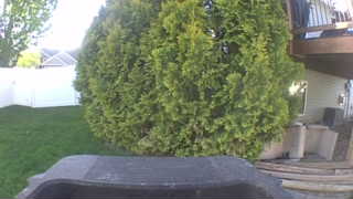 Unidentified clip