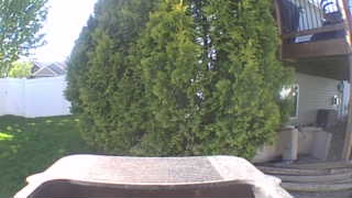 Unidentified clip