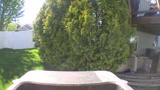 Unidentified clip