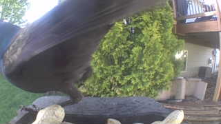 Unidentified clip