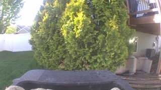 Unidentified clip