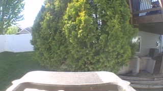 Unidentified clip