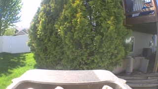 Unidentified clip