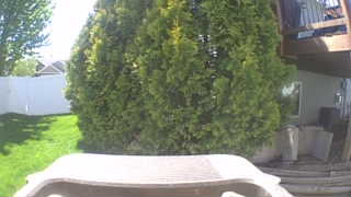 Unidentified clip