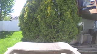 Unidentified clip