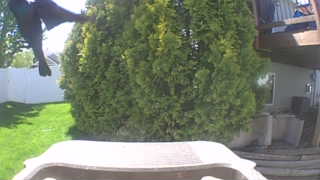 Unidentified clip