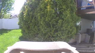 Unidentified clip