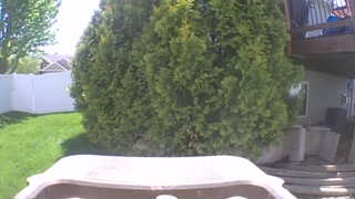 Unidentified clip