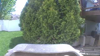 Unidentified clip