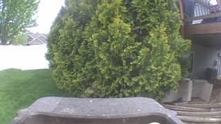 Unidentified clip