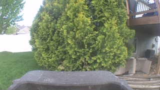Unidentified clip