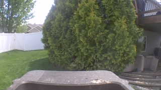 Unidentified clip