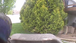 Unidentified clip