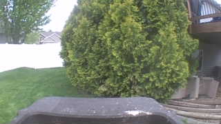 Unidentified clip